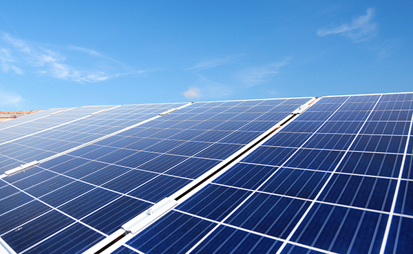 配图2.jpg 配图2.jpg